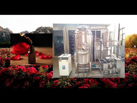 industrial factory damask damascina rose essential oil ...