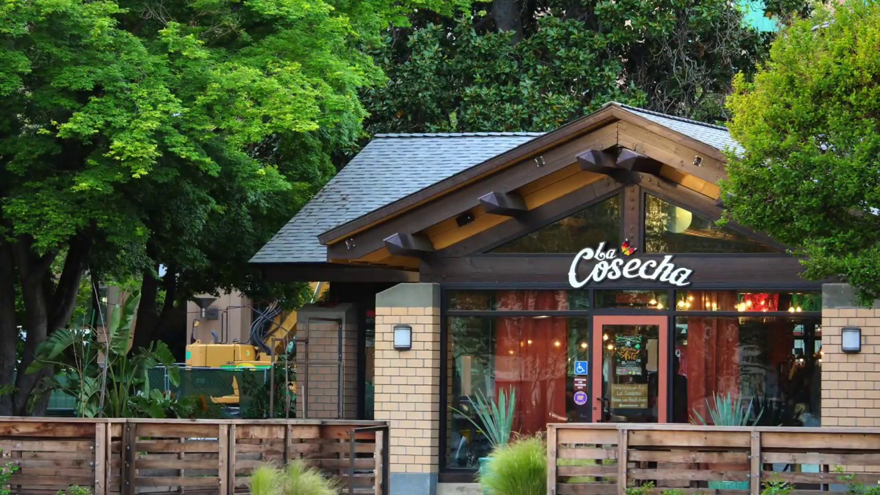 La Cosecha by Mayahuel YouTube