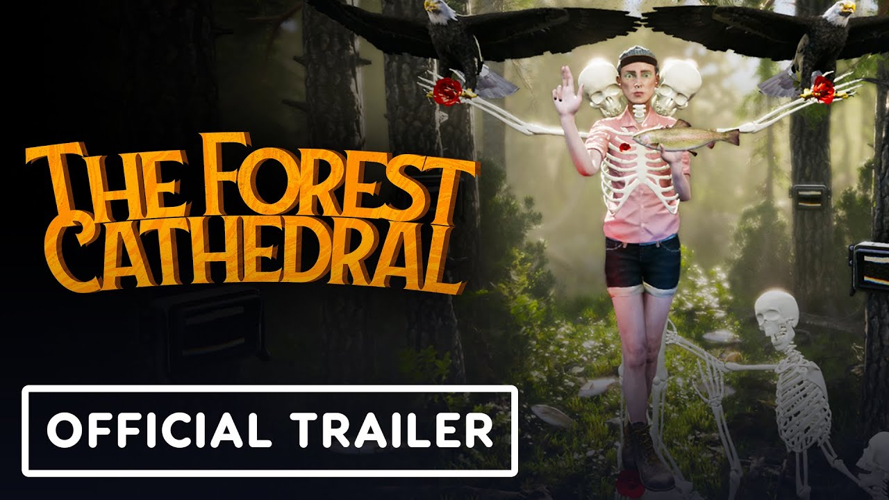 video The Forest Cathedral