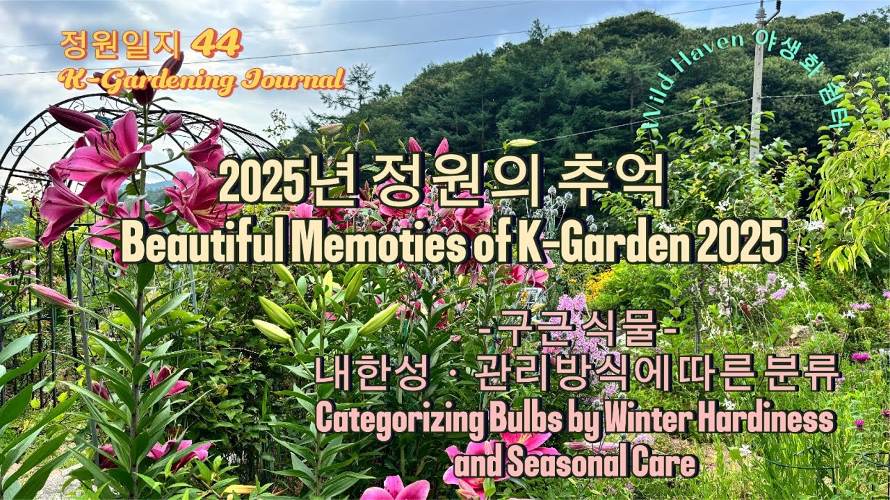 Воспоминания о K-Garden 2025: от тюльпанов до лилий/Дикая гавань