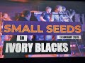 (Vol.21 No.03) - SMALL SEEDS In IVORY BLACKS - GLASGOW (s/uk) - 17 JANUARY 2019
