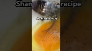 Chicken shami kabab shamikabab softchicken kabab khastakabab