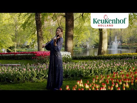 Violinist Rosanne Philippens embraces the sunrise in Keukenhof - Keukenhof Virtually Open