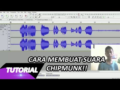 APA ITU VLOG,,,..