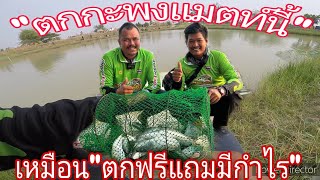 #ตกกะพงบุฟเฟ่บ่อชมทุ่ง #กะพงบุฟเฟต์ยโสธร #กะพงบุฟเฟ่ต์อีสาน #ตกกะพง