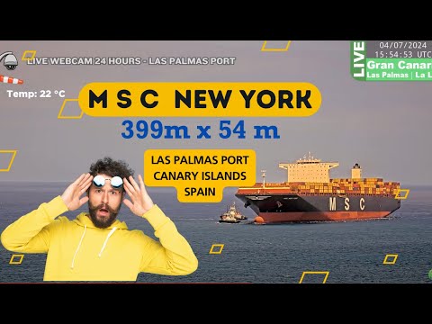 🪝MSC NEW YORK | LAS PALMAS PORT | 04.07.2024 | Canary Islands | Spain
