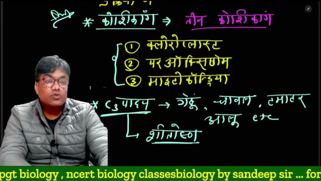 C - 2 Cycle | Photo respiration | Photosynthesis 