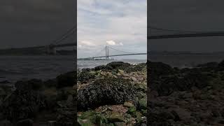 В Гармонии с Природой: Шепот Реки, Песчаный Берег, Шум Волн, Морские Жители.  #shorts