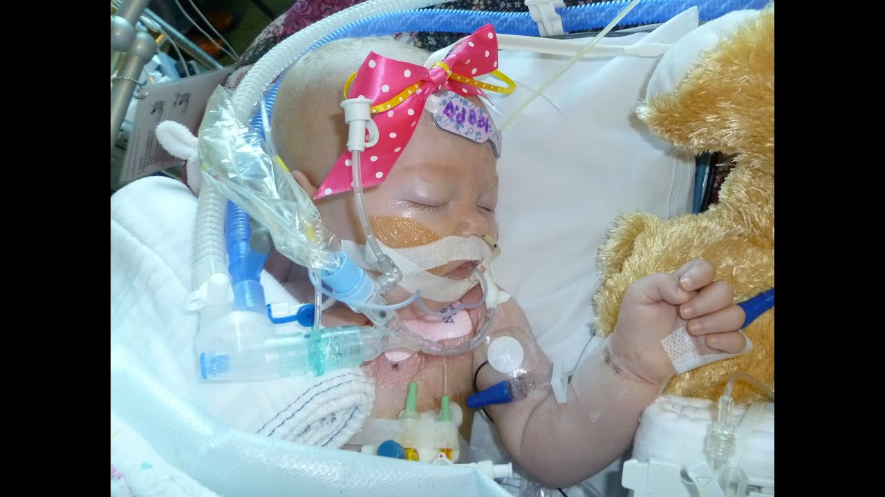 Katelyn's Story - 2014 Children's Gala