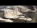 2013 Team HRC Dakar Rally Stage2