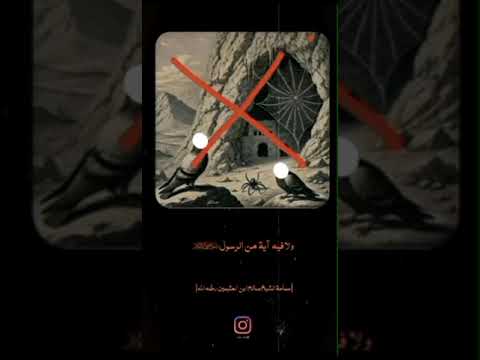 ماصحة قصة عش العنكبوت والحمامة في هجرة الرسول صلى الله عليه وسلم الشيخ بن عثيمين رحمه الله