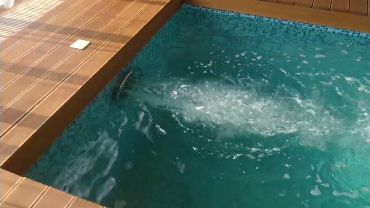 Противоток в бассейне Pahlen JET-SWIM 2000 - YouTube