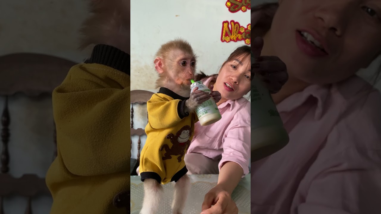 ZIM drinks yogurt🙈🥰 