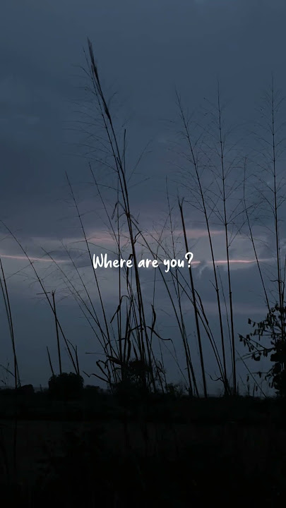 Rosa Linn - Snap (Lyrics) | 'Snapping one, two where are you?' | WhatsApp Status #rosalinn #snap