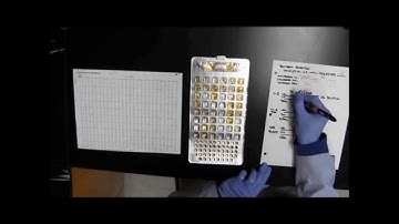 Fecal Indicator Bacteria Enumeration Using IDEXX