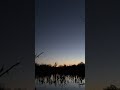 Ducks Everywhere Before Shooting Light 😳🦆