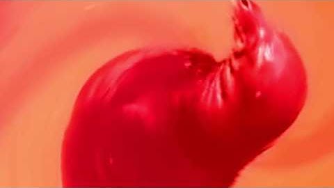 no need to be upset but every time the seal spins you get more upset