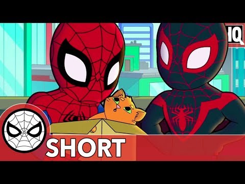 Spidey & Miles Aren't Kitten Around! | Marvel Super Hero Adventures - That Drone Cat | SHORT