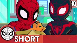 Spidey & Miles Aren't Kitten Around! | Marvel Super Hero Adventures - That Drone Cat | SHORT