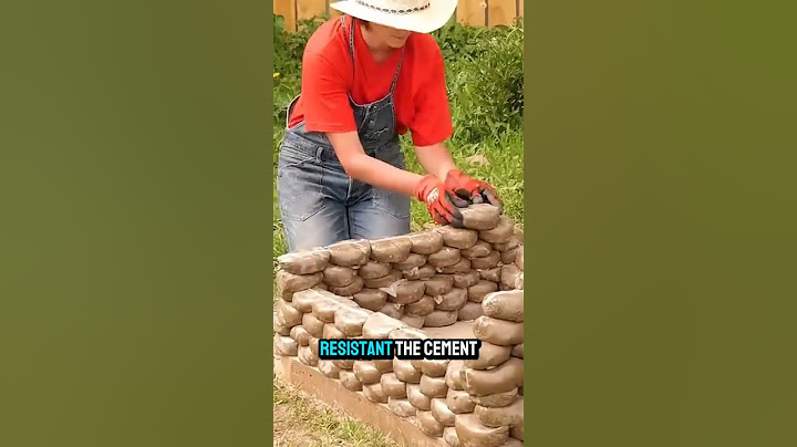 DIY Cozy Cement Dog House: A Step-by-Step Guide for Your Furry Friend!