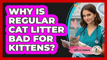 Why Is Regular Cat Litter Bad For Kittens? - Happy Cat Handbook