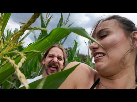 A normal day with friends in the field