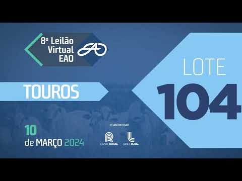 LOTE 104   EAO B8705