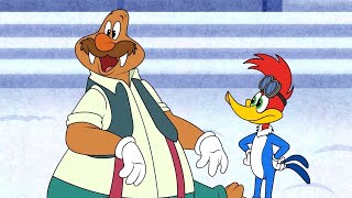 Woody And Wally Work As A Team Woody Woodpecker