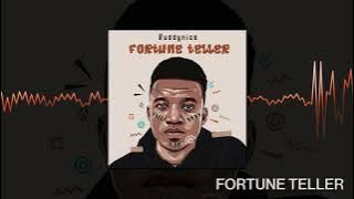 Buddynice - Fortune Teller (Redemial Mix) - (Audio Visual)