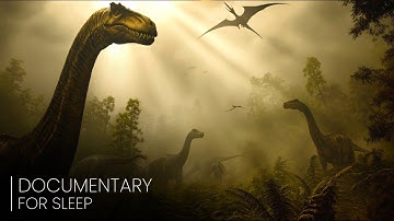 +3 Hours of Mind-Blowing Prehistoric Dinosaur Facts To Fall Asleep To | Documentary For Sleep