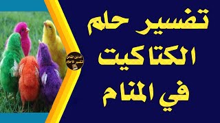 تفسير حلم رؤية الكتاكيت في المنام