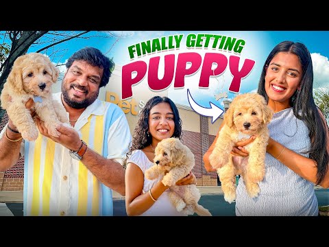Getting a PUPPY!! 🐶 So excited!!😍VAAS Family | Telugu Vlogs 