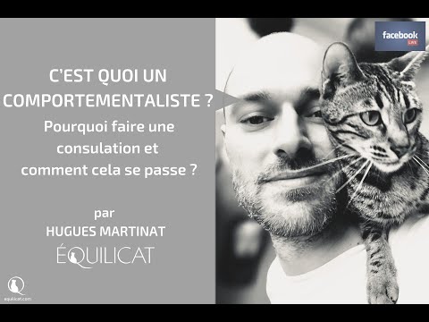 Vidéo: Pourquoi la consultation est-elle importante ?