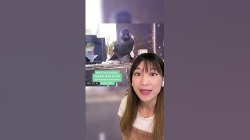 This Swedish Company Is Training Crows To Pick Up Cigarette Butts To Help Clean Up Street Litter