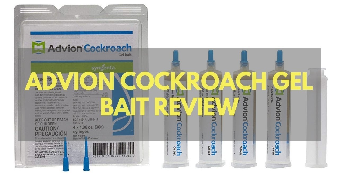 How To Use Advion Cockroach Gel Bait for a Roach-Free Home? 