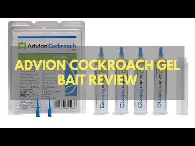 How To Use Advion Cockroach Gel Bait for a Roach-Free Home? 