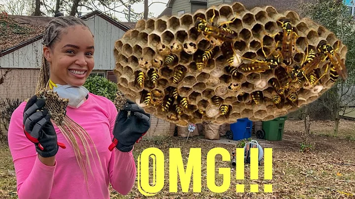 THIS COULD’VE ENDED VERY BADLY!!😳😱🫣