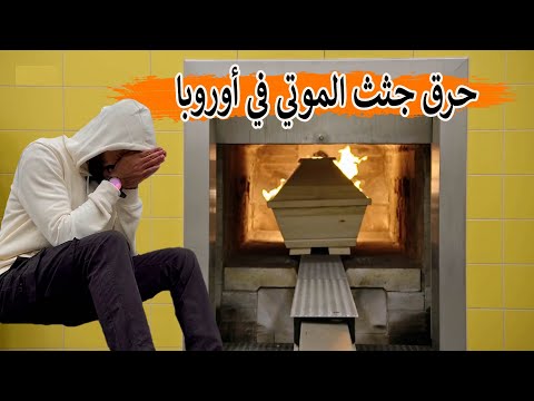 فيديو: ما هي تكلفة حرق جثث كلبك؟