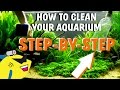 HOW TO CLEAN YOUR AQUARIUM - Planted Tank Water Change/Gravel/Substrate Cleaning