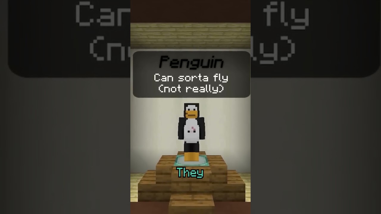 Can Penguins Fly?? #minecraftmemes