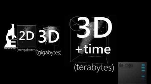 Big Data - Analysis of Large Image Data Sets