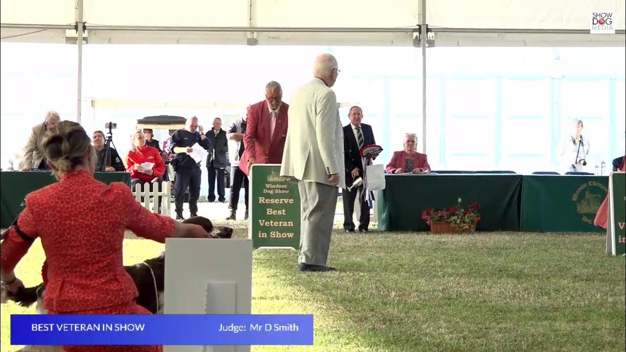 Windsor Championship Dog Show 2025 Day 4 Utility &amp; Hound Groups &amp; Best