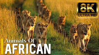 4K African Animals: Nairobi National Park  Scenic Wildlife Film With Real Sounds