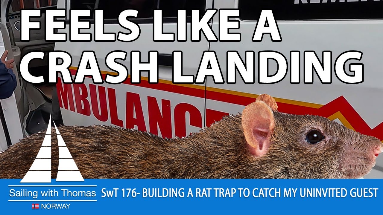 Rat Infestation on Board after checking in to Indonesia – SwT176 – It feels like I have crash landed