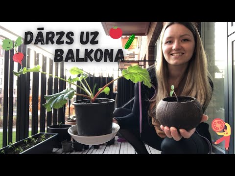 Video: Balkona Dārzs