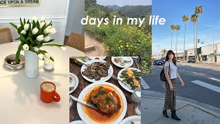 vlog: cutting my bangs, spring sezane haul, easy hikes in LA