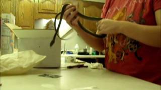 Unboxing Scrub Python from DMExotics