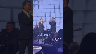 يسلملي الي بغار 🔥🎶