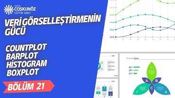 Seaborn ile Veri Görselleştirmenin Gücü: Countplot, Barplot, Histogram ve Boxplot ile Veri Analizi