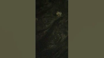 Thumbnail of This beach came alive at night. Black sand beach sparkles in the moon light.